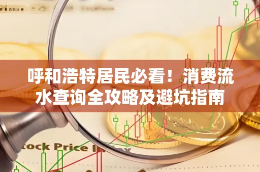 呼和浩特居民必看！消费流水查询全攻略及避坑指南