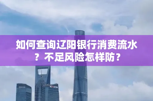如何查询辽阳银行消费流水？不足风险怎样防？