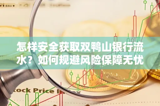 怎样安全获取双鸭山银行流水？如何规避风险保障无忧？