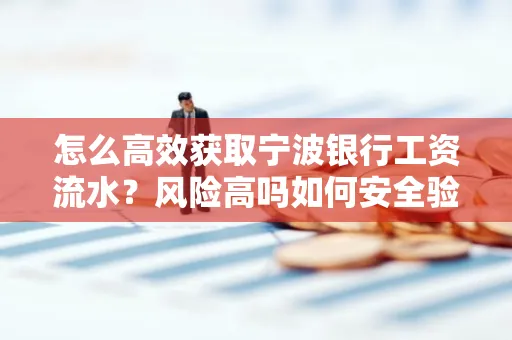 怎么高效获取宁波银行工资流水？风险高吗如何安全验证？