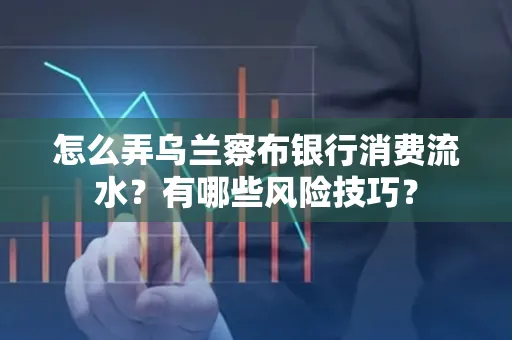 怎么弄乌兰察布银行消费流水？有哪些风险技巧？