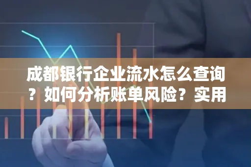 成都银行企业流水怎么查询？如何分析账单风险？实用指南