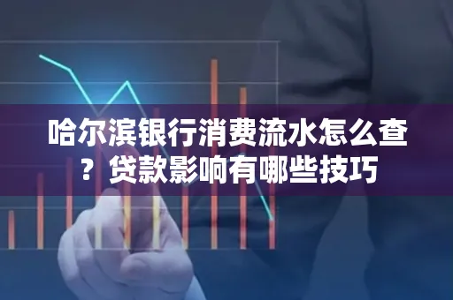 哈尔滨银行消费流水怎么查？贷款影响有哪些技巧