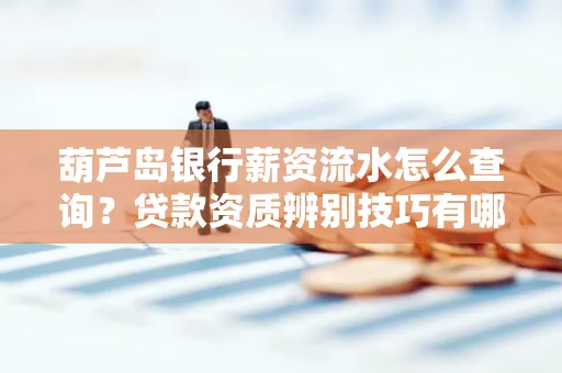 葫芦岛银行薪资流水怎么查询？贷款资质辨别技巧有哪些？