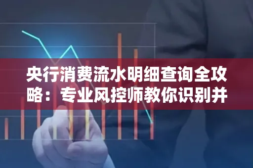 央行消费流水明细查询全攻略：专业风控师教你识别并规避用卡风险！