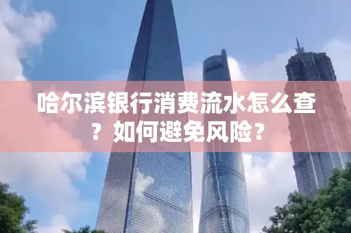 哈尔滨银行消费流水怎么查？如何避免风险？